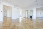 THE HAUSSMANNIEN
