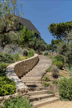 Gigaro