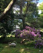 Normandie