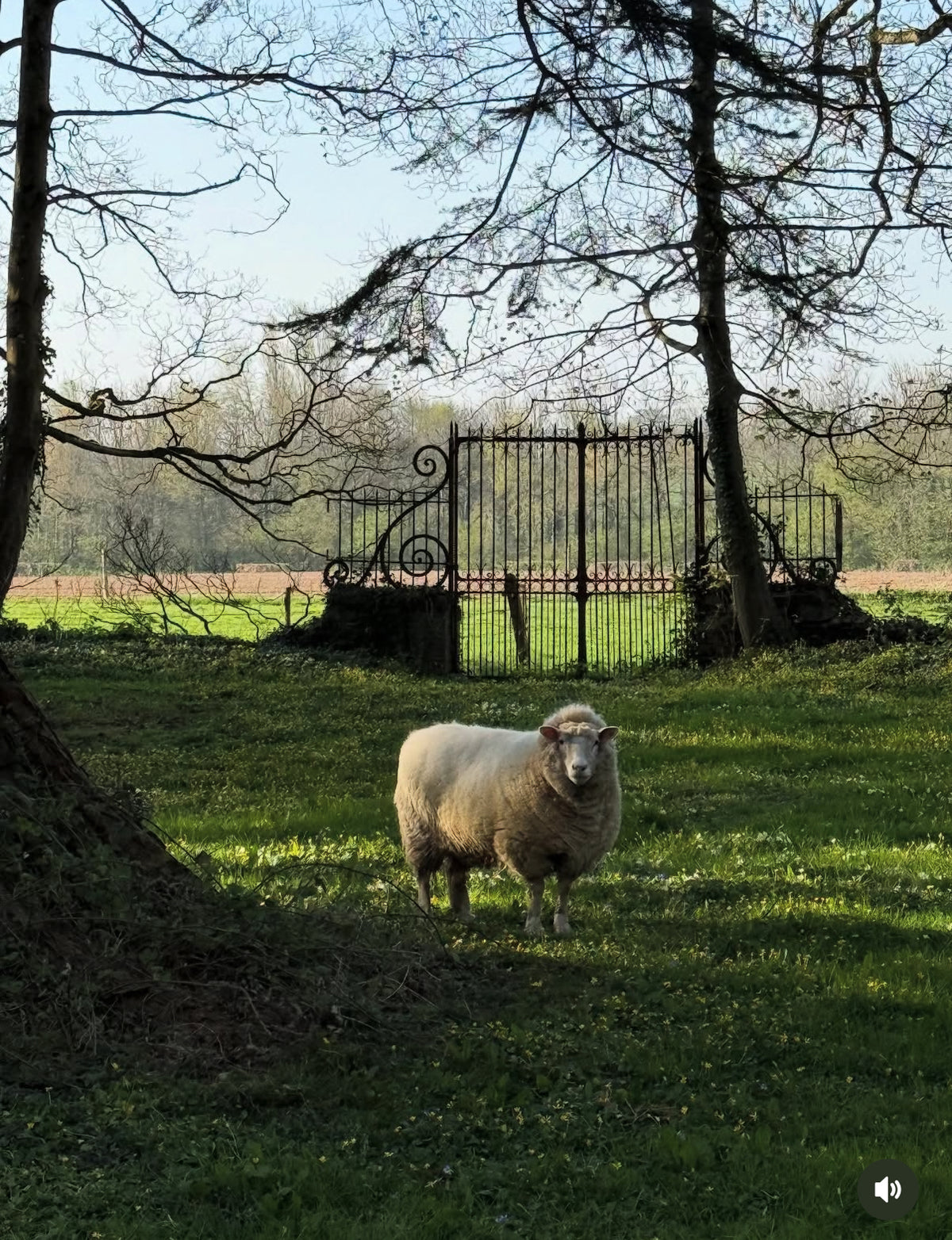 Normandie