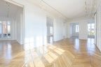 THE HAUSSMANNIEN